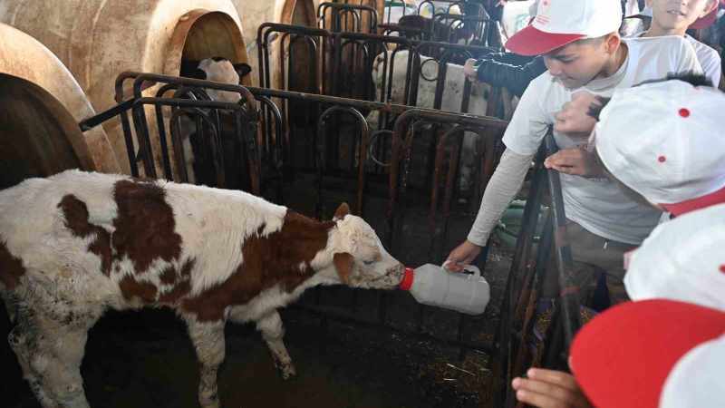 Lider Çocuk Tarım Kampı, 