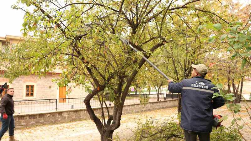 Çivril Belediyesi budamayla hem tehlikeyi önlüyor hem de ağaçların ömrünü uzatıyor 