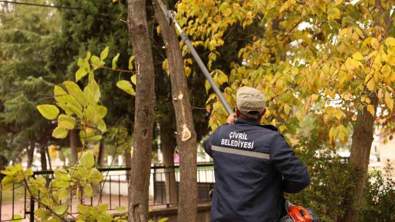 Çivril Belediyesi, Budama Çalışmalarıyla Ağaçların Ömrünü Uzatıyor ve Tehlikeleri Ortadan Kaldırıyor