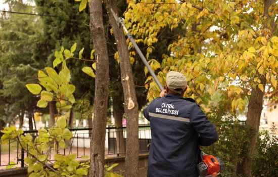 Çivril Belediyesi, Budama Çalışmalarıyla Ağaçların Ömrünü Uzatıyor ve Tehlikeleri Ortadan Kaldırıyor