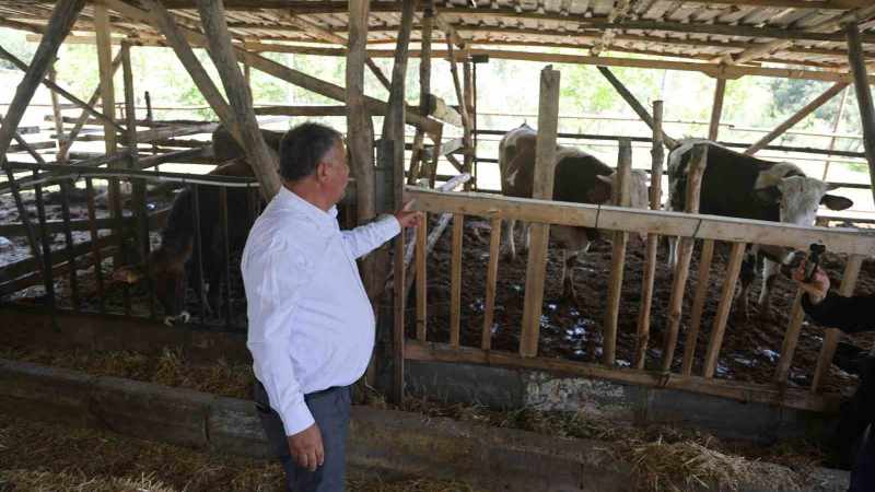 Üretimden kopamayan Başkan Pütün; 