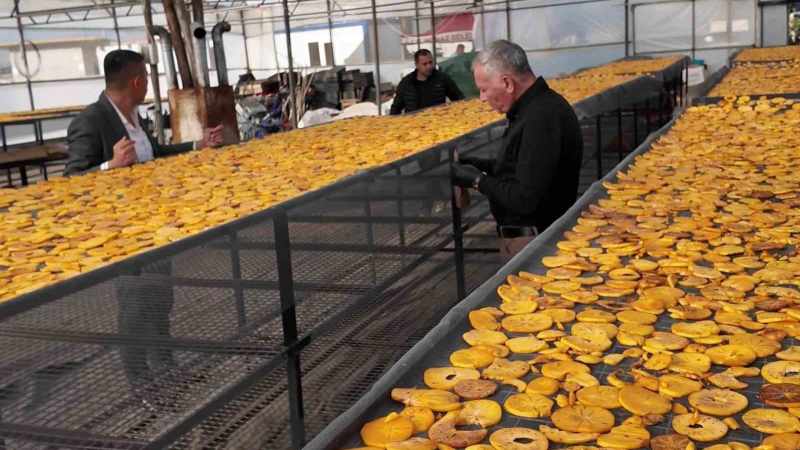 Honaz'ın Ünlü Cennet Hurması Artık Cips Formunda Lezzet Şöleni Sunuyor