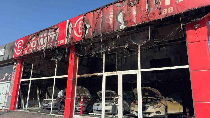 Kundakçılık Suçlamasıyla Yakalanan Şahıs, Suçunu Kabul Etti