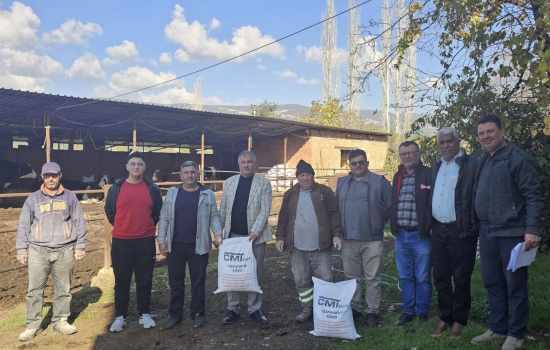 Beyağaç Belediyesi, Şap Hastalığı ile Mücadele İçin Üreticilere Kireç Dağıttı
