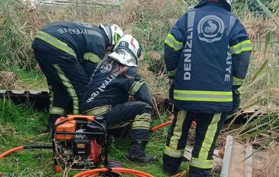 Fosseptik çukuruna düşen köpek başarılı bir şekilde kurtarıldı