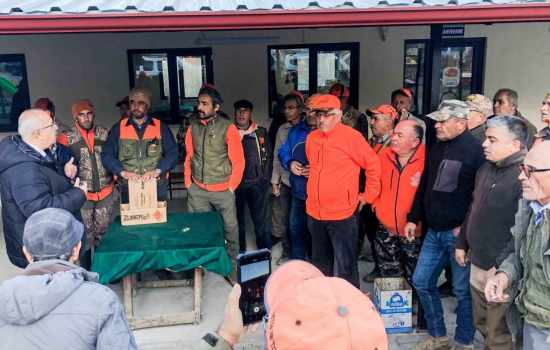 Üreticiler, mahsullerini korumak için domuzlarla savaşıyor