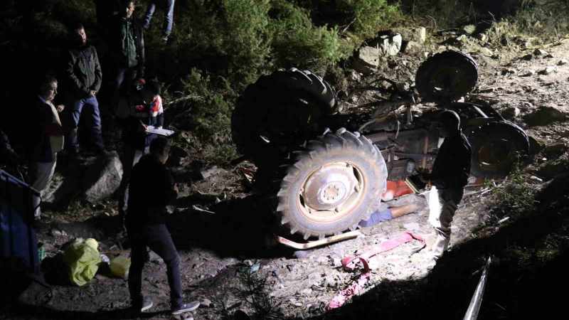 Ormana odun toplamaya giden yaşlı çiftin cesetleri iki gün sonra keşfedildi