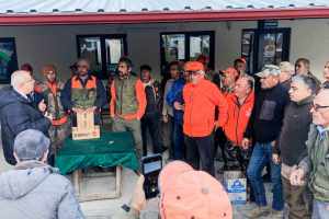 Üreticiler, mahsullerini korumak için domuzlarla savaşıyor