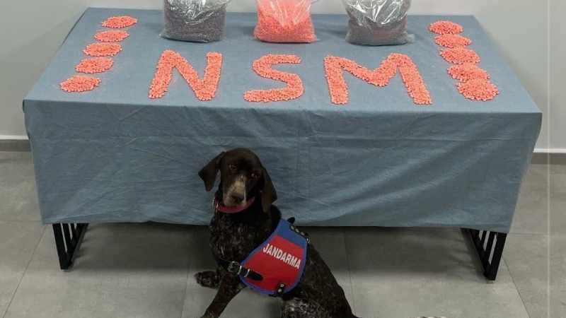 Denizli'de Jandarma Narkotik Ekipleri Uyuşturucu Kaçakçılarına Geçit Vermiyor