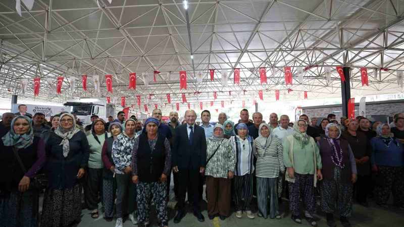 Denizli Büyükşehir Belediyesi, 6 bin 317 çiftçiye yem yardımı gerçekleştirdi.