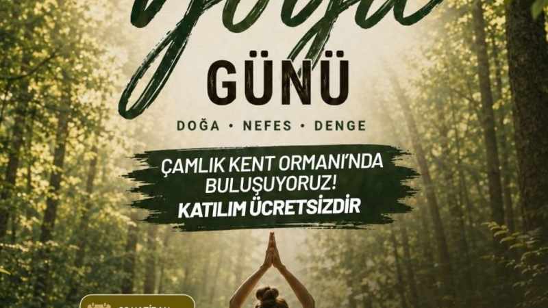 Denizli, Dünya Yoga Günü'nde Çamlık'ta Toplanıyor