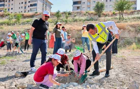 Doğa ile kenetlenmiş çocuklar, zeytin fidanları dikerek yeşil bir geleceğe destek sağladı!