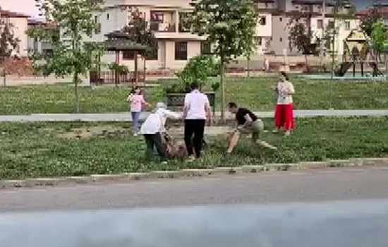 Parkta gezdirilen köpeğe saldıran sahipsiz köpek, veteriner tarafından etkisiz hale getirildi