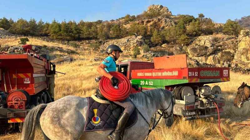 Atlı jandarma ekipleri, yangın bölgesine su hortumları götürdü