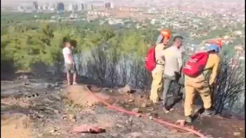 Başkarçı Dağı'ndaki orman yangını hızla söndürüldü