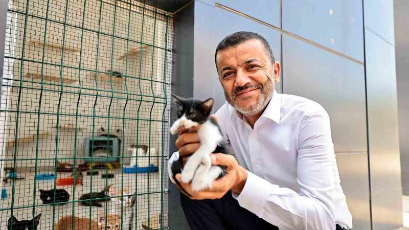 Denizli Büyükşehir’den hayvan dostlarına sevgi dolu destek