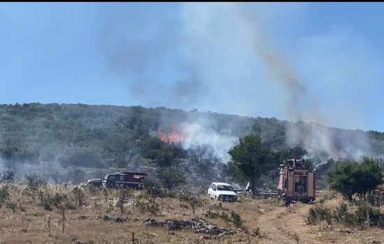 Arıcıların Kullandığı Tütsü, Ormanda Yangın Çıkardı