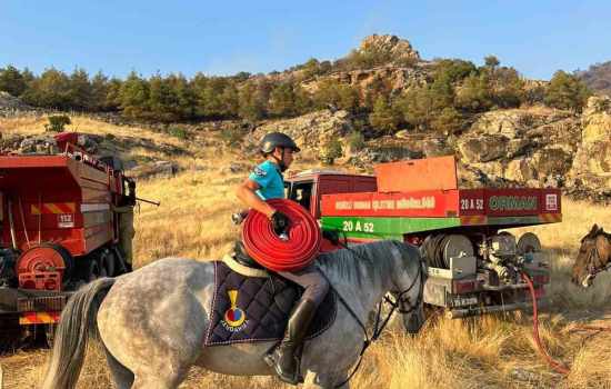 Atlı jandarma ekipleri, yangın bölgesine su hortumları götürdü