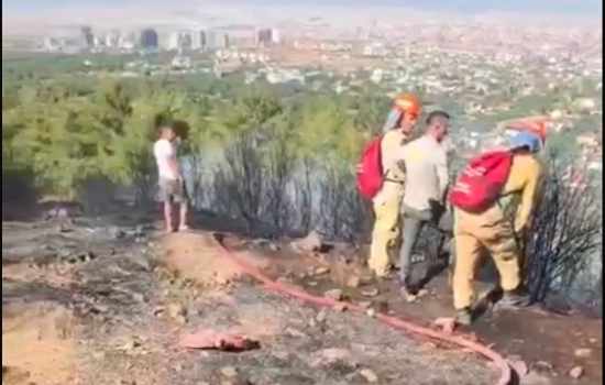 Başkarçı Dağı'ndaki orman yangını hızla söndürüldü