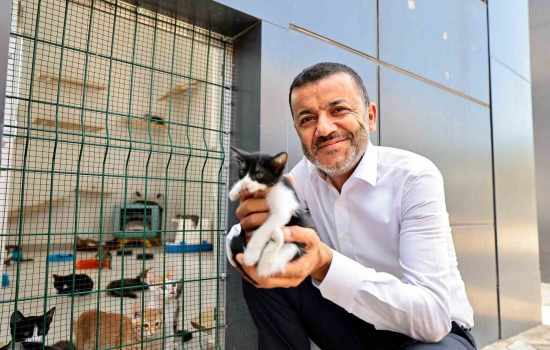 Denizli Büyükşehir’den hayvan dostlarına sevgi dolu destek
