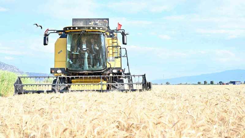 Vali Köşger, Acıpayam'da Bereket Hasat Şenliğine Katıldı
