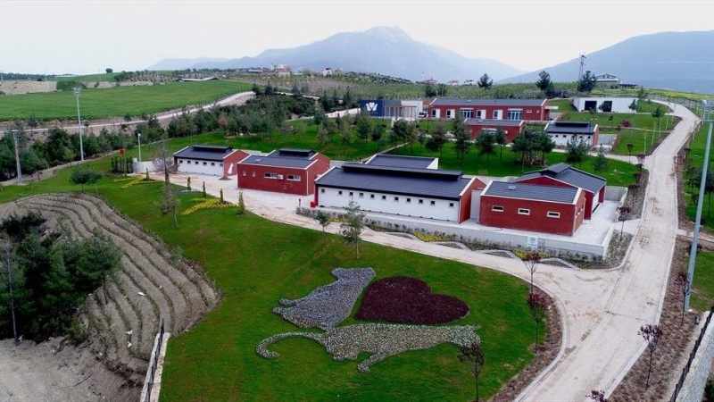 Denizli Büyükşehir Belediyesi, barınaklarla ilgili iddialara karşı suç duyurusunda bulundu