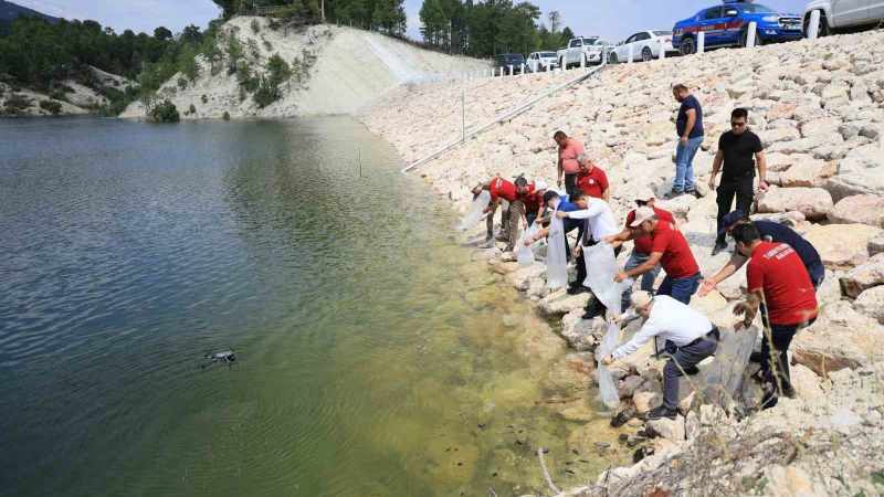 Denizli'de İç Sulara Yeni Bir Nefes: 1 Milyon 386 Bin Balık Suya Salındı