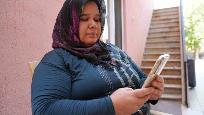 Sarayköy’de zehirli tavuk parçalarıyla 6 sokak hayvanı öldü