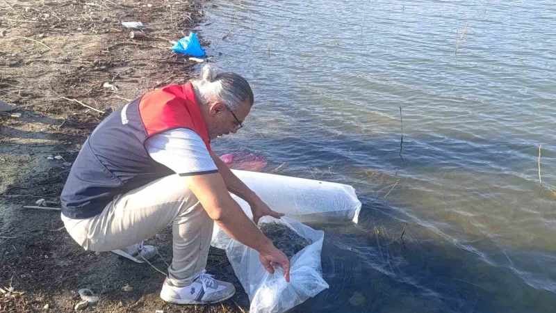 Göletlere 80 Bin Yenidoğan Balık Salındı