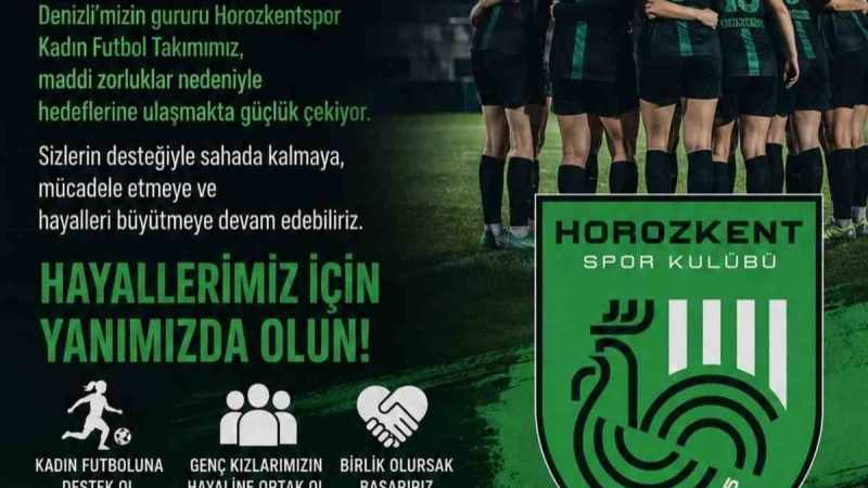 Horozkent 275 bin TL'yi ödeyemezse liglere katılamayacak