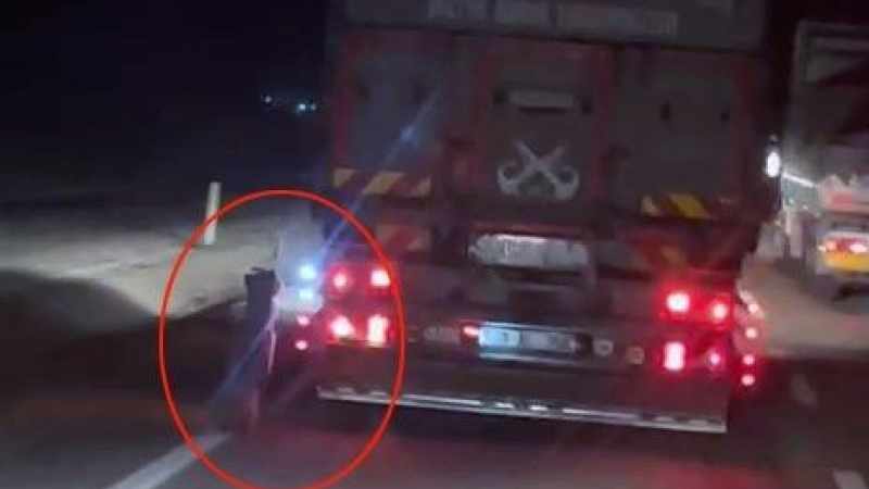 Kamyonetin arkasına bağlanan köpek kilometrelerce sürüklendi
