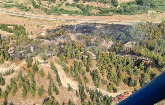Yol kenarından ormana sıçrayan yangın, zamanında yapılan müdahale ile kontrol altına alındı