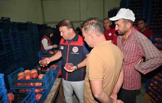 Zayim’den Çivril’deki şeftali tesisine inceleme ziyareti