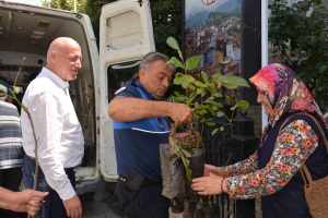 Babadağ Belediyesi çiftçilere ceviz fidanı dağıttı