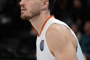 Denizli Basket, eski rakibi Meeks'i transfer etti