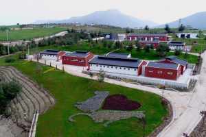 Denizli Büyükşehir Belediyesi, barınaklarla ilgili iddialara karşı suç duyurusunda bulundu