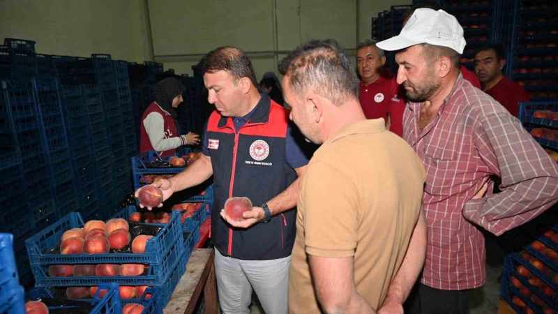 Zayim’den Çivril’de şeftali tesisinde üretim incelemesi