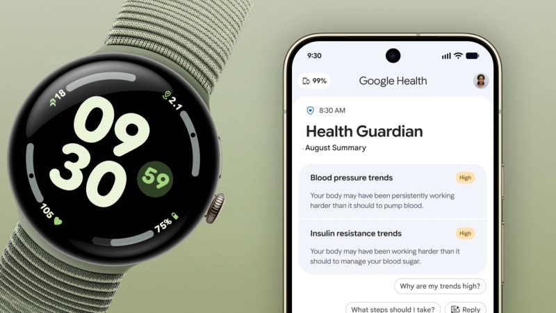 Health Guardian özellikleri Google Health uygulamasında kullanıma sunuldu