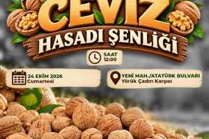 Çameli'de Ceviz Hasadı Festivali 24 Ekim'de yapılacak